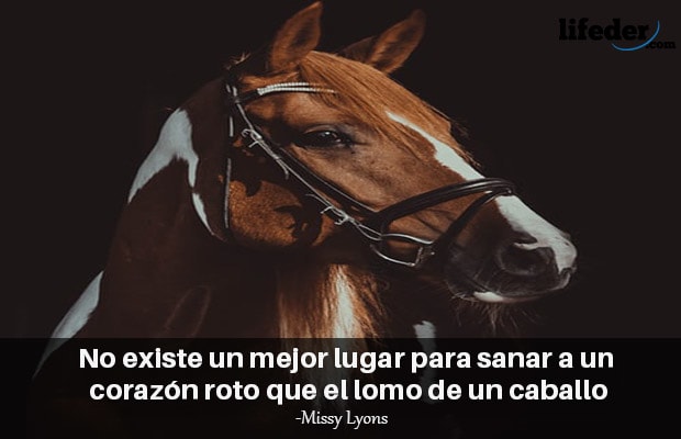 Las 101 Mejores Frases de Caballos