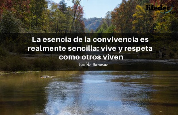 Descubrir 85+ imagen frases de convivencia sana