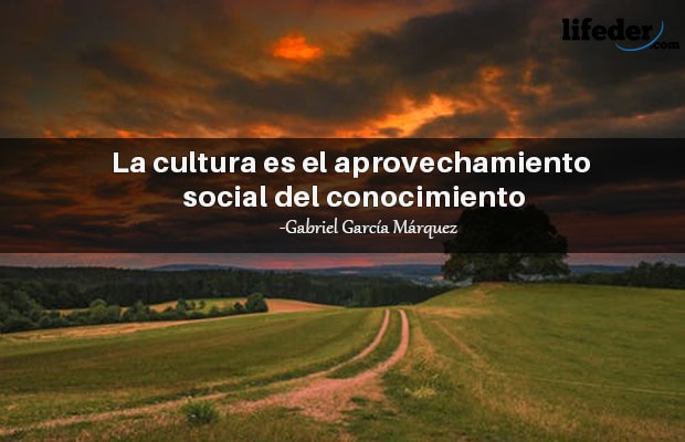 Las 100 Mejores Frases sobre la Cultura