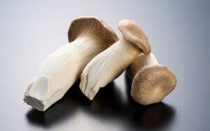 Pleurotus eryngii
