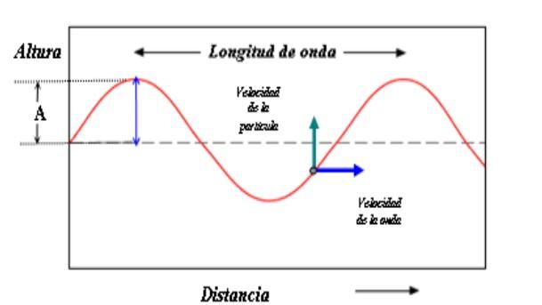 Amplitud De Onda Qué Es Características Descripción Ejercicio Resuelto 3417