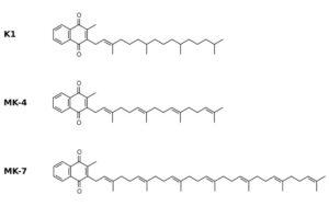 Lípidos insaponificables