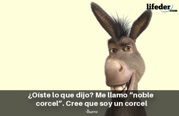 Memes de Shrek - Burro y sus canciones me sacan de quicio