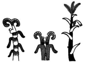 Agricultura en Nueva España