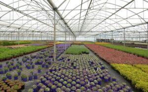 Ecosistema artificial