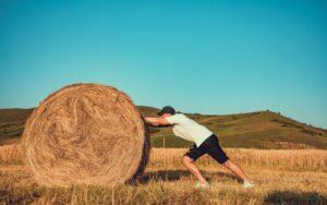 Tercera ley de Newton