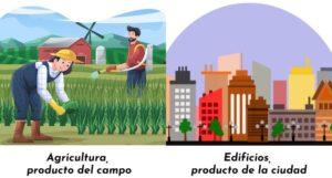 Productos del campo y la ciudad, y sus características