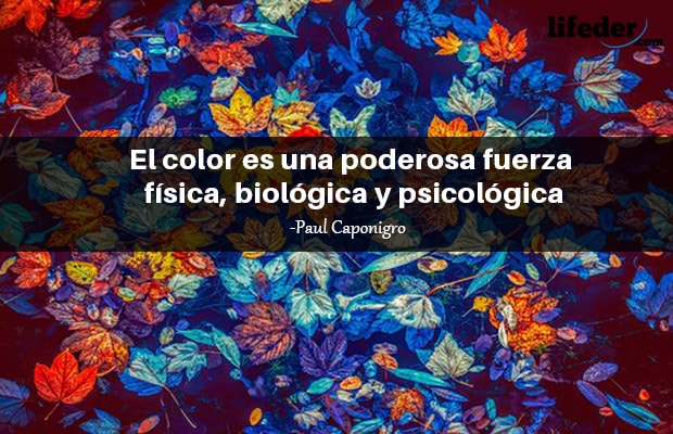 120 Bonitas Frases sobre el Color