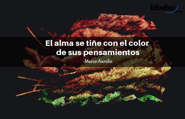 120 bonitas frases sobre el color