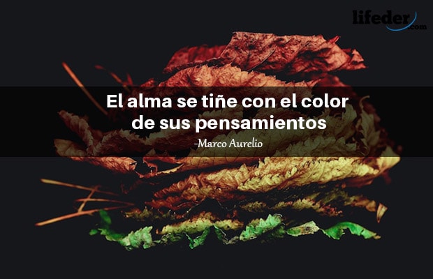 120 Bonitas Frases sobre el Color