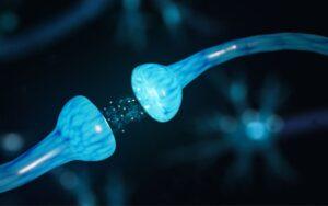 Comunicación celular