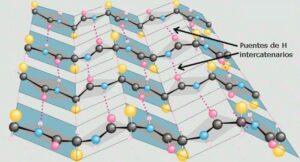 Estructura secundaria de las proteínas
