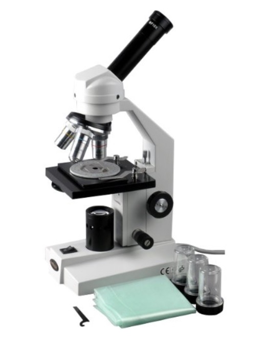 Microscopio de campo claro: características, partes, funciones - Lifeder