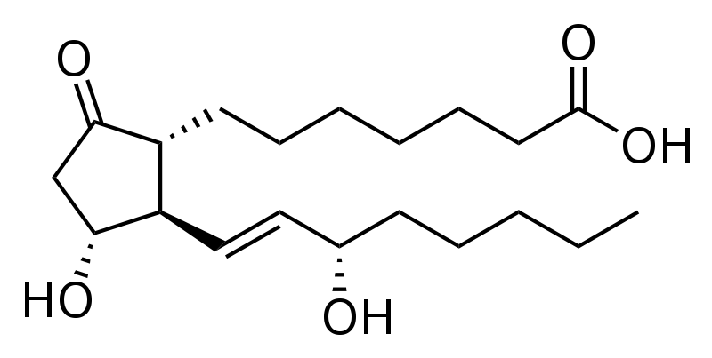 Prostaglandinas: estructura, síntesis, funciones, inhibidores