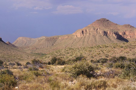Desierto de Chihuahua