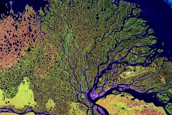 Imagen del delta del río Lena. Fuente: (Landsat) [Public domain], vía Wikimedia Commons.