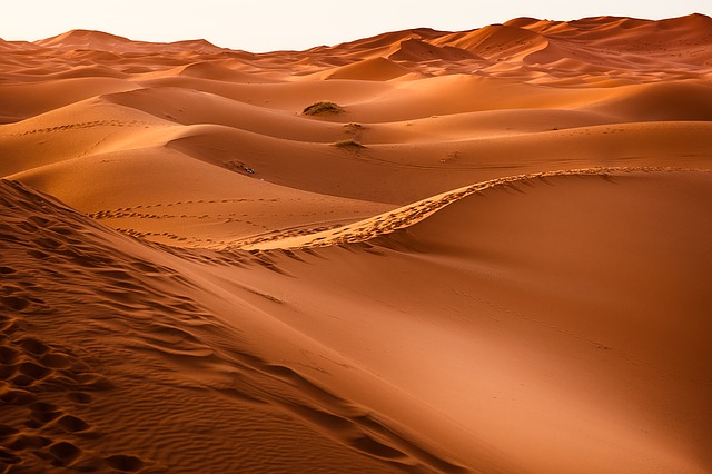 Clima del desierto: características, localización, tipos, flora, fauna