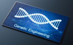 Desarrollo científico