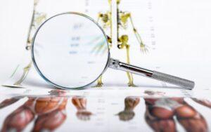 Estudio de investigación