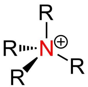 Ion amonio (NH4+)