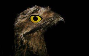 Las leyendas más populares de Santa Cruz