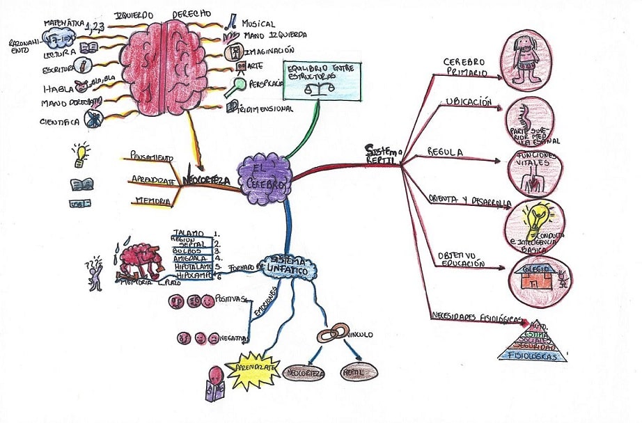 Mapa mental: qué es, características, elementos, cómo hacerlo, ejemplos