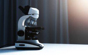 Microscopio de campo claro