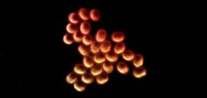 Microscopio de campo oscuro