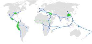 Paso del nomadismo al sedentarismo