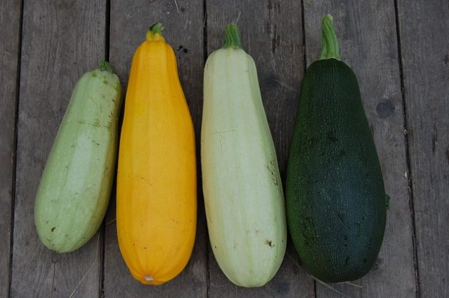 Cucurbita pepo: qué es, características, hábitat, propiedades, especies