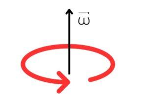 Velocidad angular media