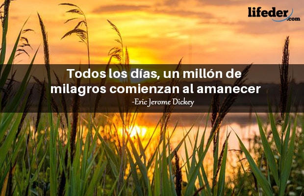 Las 100 mejores frases sobre el amanecer