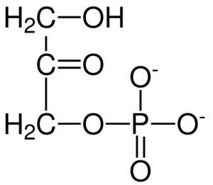 Dihidroxiacetona fosfato (DHAP)