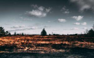 Encuadre abierto en cine o fotografía