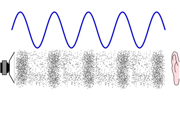 Ondas longitudinales: características, diferencias, ejemplos