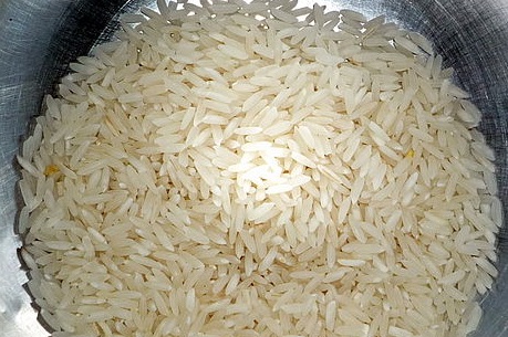 Tipos de cereales pdf