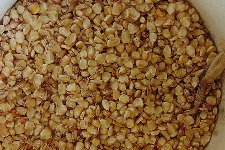 Tipos de cereales pdf