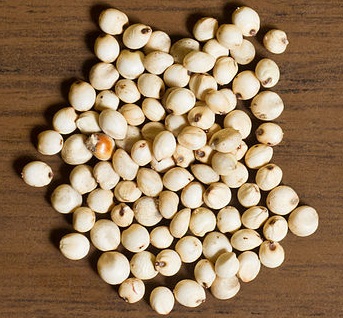 nombres de granos de cereales