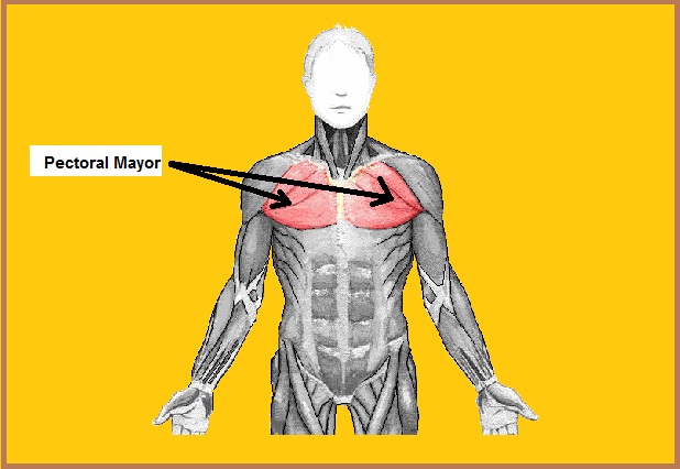 Dolor pectoral mayor
