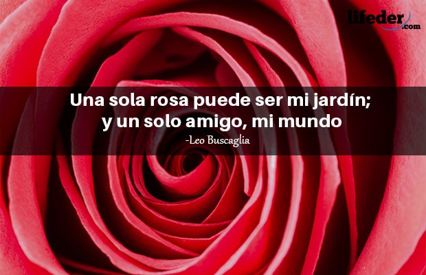 Las 110 mejores frases de rosas (muy románticas)
