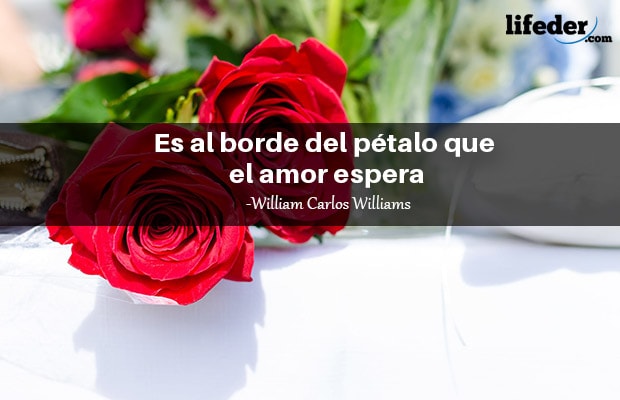 Una rosa de amor