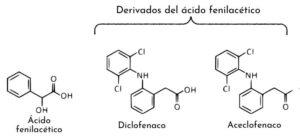 Ácido fenilacético