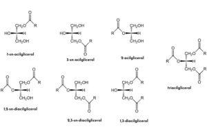 Acilglicéridos