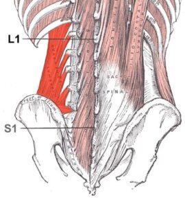 Cuadrado lumbar