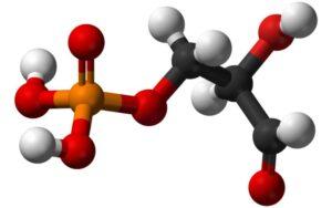 Gliceraldehído 3-fosfato (G3P)