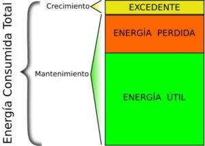 Segunda ley de la termodinámica