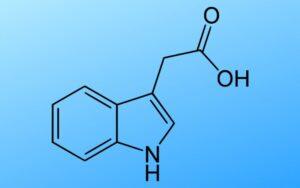 Ácido indolacético