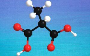 Ácido metilmalónico