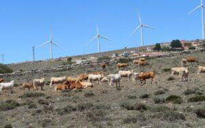 Ganadería extensiva