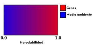 Heredabilidad